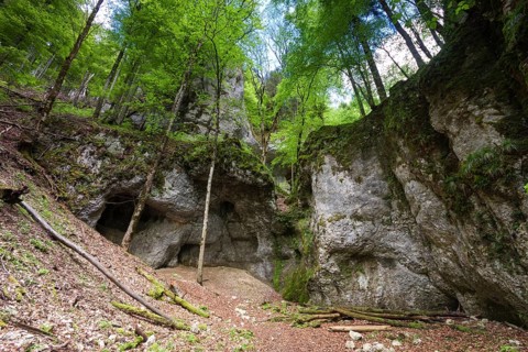 Grotto in the Danube Valley below Burg Wildenstein Castle