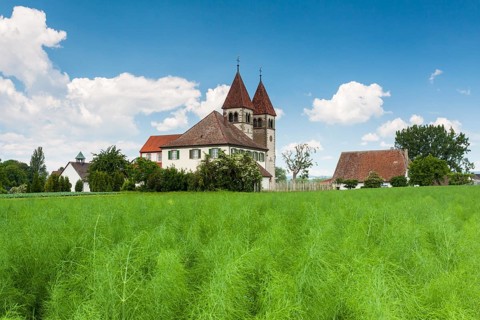 Church of St. Peter and Paul in Niederzell on Reichenau Island