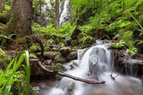 Burgbach stream with Burgbach Waterfall at Schapbach