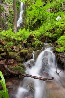 Burgbach stream with Burgbach Waterfall near Schapbach