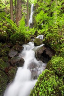 Burgbach stream with Burgbach Waterfall near Schapbach