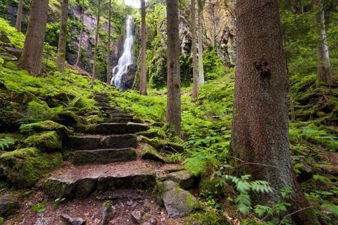 Stone stairs at Burgbach Waterfall near Schapbach