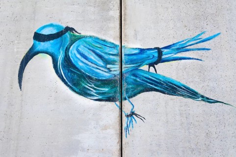 A Banksy graffiti on the separation wall
