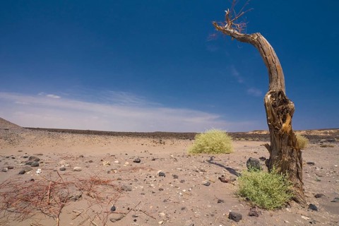 Landscape shaped by flood basalts on the road between Semera