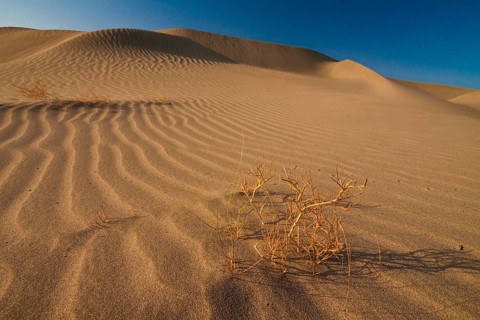 Desert landscape in the Danakil Depression