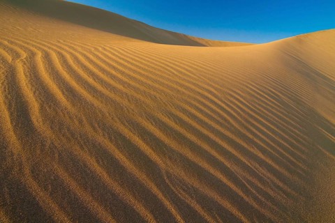 Desert landscape in the Danakil Depression