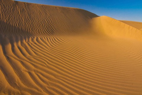 Desert landscape in the Danakil Depression