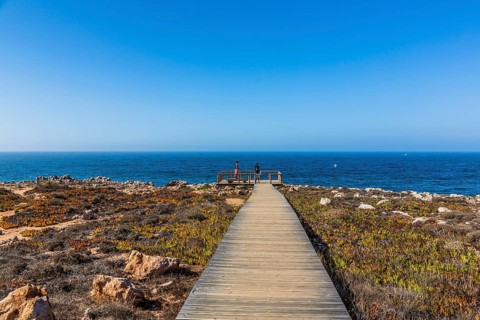 Wooden walkway to a lookout point