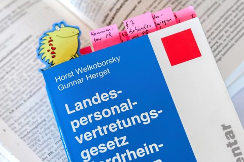 Book 'Landespersonalvertretungsgesetz'