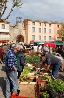 Market in Apt city
