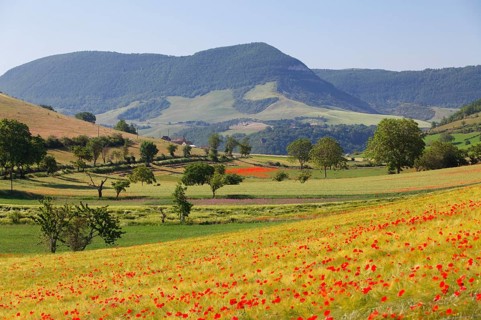 Agricultural landscape near Peyre