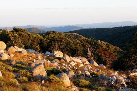 Landscape of The Causses and the Cevennes
