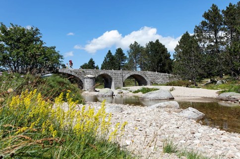Pont du Tarn