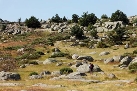 Hiking trail GR7 in L'Aubaret village