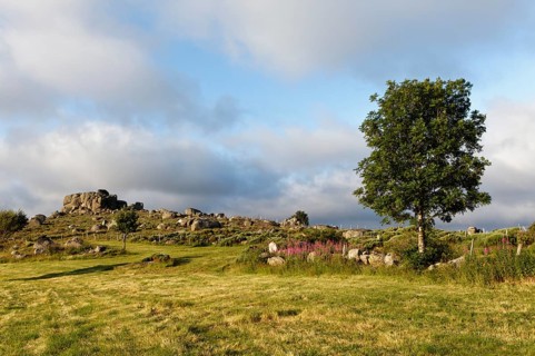 Landscape near Finiels