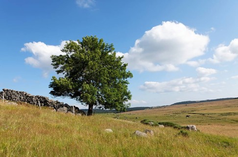 Landscape of Mont Lozere in Mas Camargues