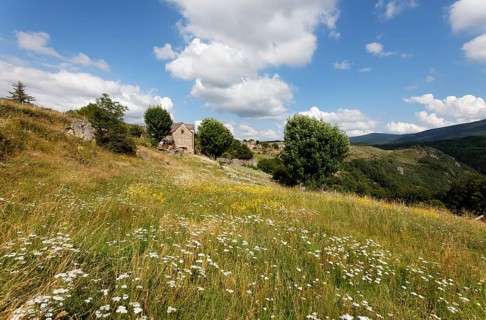 Landscape at Mont Lozere