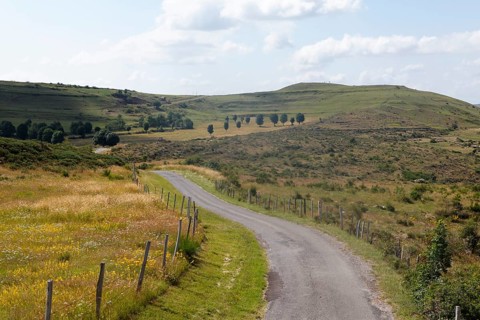 Landscape of Mont Lozere