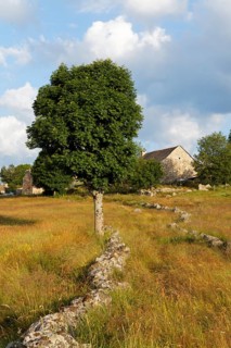 Hamlet of Bellecoste