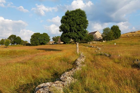 Hamlet of Bellecoste