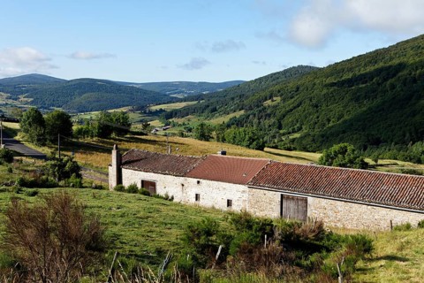 Landscape near village of Auvers