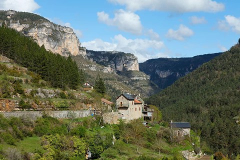 Gorges de la Jonte