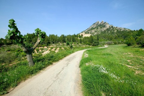 The Santa Barbara mountain and the Sant Salvador monastery