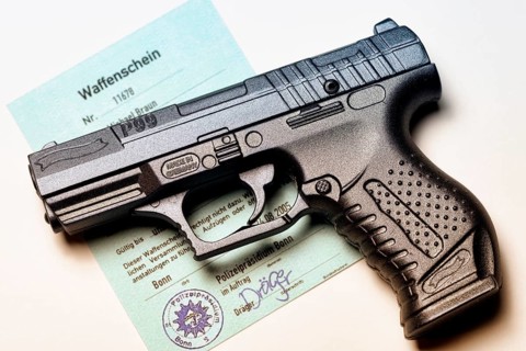 Firearm and firearm license