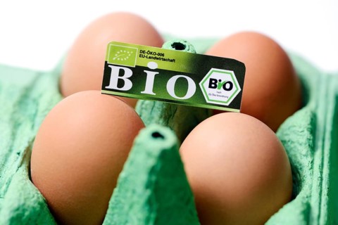 Hen's eggs with organic seal