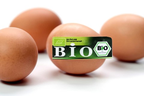 Hen's eggs with organic seal