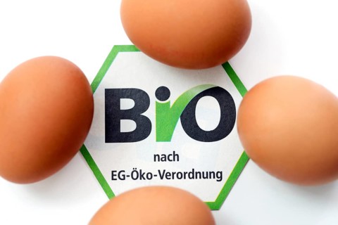 Hen's eggs with organic seal