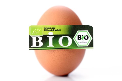 Hen's egg with organic seal