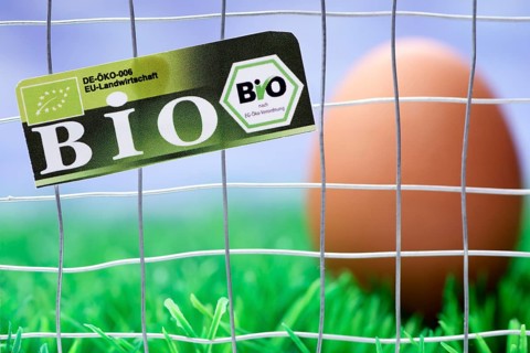Hen's egg behind cage-bars with organic seal