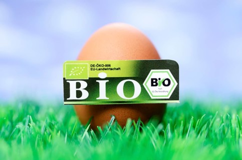 Hen's egg with organic seal