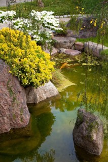 Japanese gardens in Larvotto