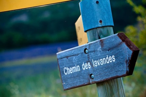 Wooden sign