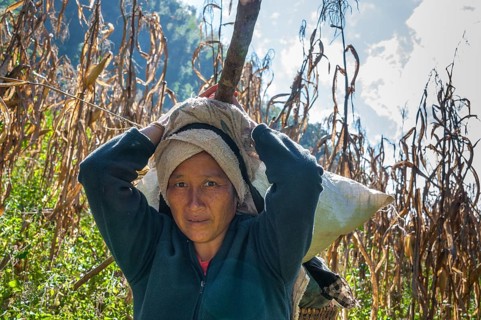 Hill tribe woman carrying a load on her head
