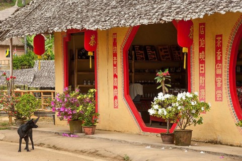 Dog standing outside a tea shop in a village of the Chinese minority on the border with Myanmar