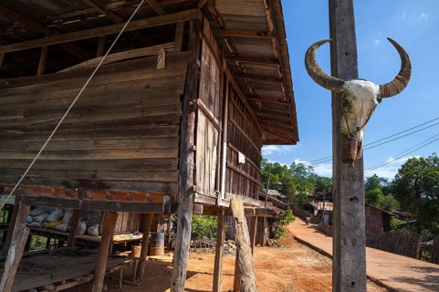 Skull of a water buffalo hanging next to a hut