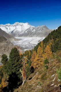 Aletsch Glacier and the Bernese Oberland