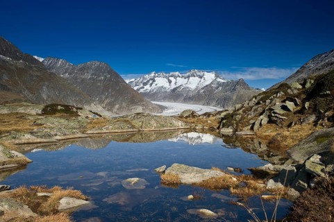 Aletsch Glacier and the Bernese Oberland