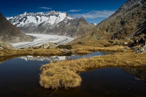 Aletsch Glacier and the Bernese Oberland