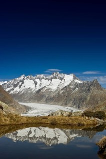 Aletsch Glacier and the Bernese Oberland