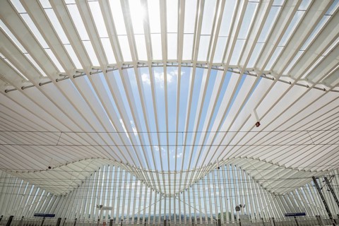 High-speed railway station Mediopadana