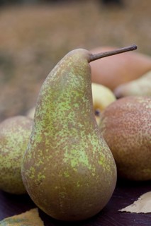 Pear