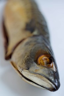 Smoked mackerel