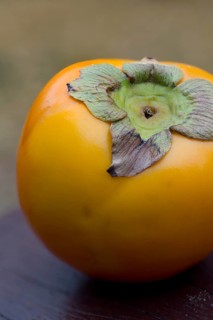 Sharon fruit or Kaki Persimmon (Diospyros kaki)
