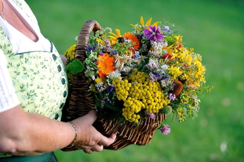 A basket with herbs
