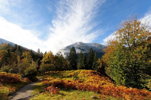 Hiking trail near Bayrischzell and Seeberg mountain