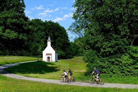 Father and children cycling